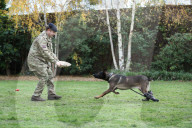 Hero Military Working Dog awarded animals Victoria Cross