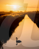 FEATURE - Sonnenuntergang über Flachmoor in Cambridgeshire