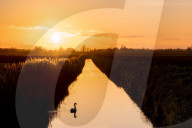 FEATURE - Sonnenuntergang über Flachmoor in Cambridgeshire