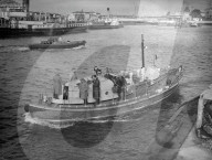 Mono Negative