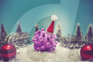 NEWS - Coronavirus: Weihnachten in Zeiten von Corona