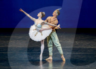 Performing arts archive