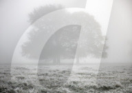 Foggy weather