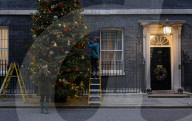 Christmas Tree arrives in Number 10