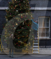 Christmas Tree arrives in Number 10