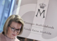 PHOTO UNDER EMBARGO UNTIL SATURDAY NOVEMBER 28, 2020, 06.00 AM CET - Belgium's Queen Mathilde talks to journalists during a virtual interview on the occasion of the 20th anniversary of Queen Mathilde Foundation, in Brussels