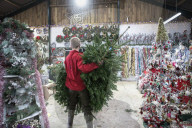 York Christmas Trees - Christmas Tree provider of the Year