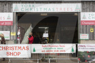 York Christmas Trees - Christmas Tree provider of the Year