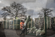 York Christmas Trees - Christmas Tree provider of the Year
