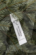 York Christmas Trees - Christmas Tree provider of the Year