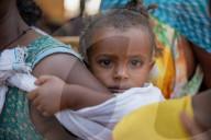 'I saw people dying on the road': Tigray's traumatised war refugees. People who fled fighting in northern Ethiopia tell of atrocities and gruelling journey to Sudan.