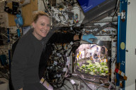 Rad dishes in space
