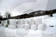 NEWS - Sturm Dora bringt Schnee in Asturien, Spanien
