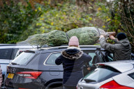FEATURE - O Tannenbaum: Kommen Weihnachtsbäume in diesem Jahr früher ins Haus?