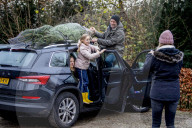 FEATURE - O Tannenbaum: Kommen Weihnachtsbäume in diesem Jahr früher ins Haus?