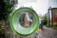 FEATURE - O Tannenbaum: Kommen Weihnachtsbäume in diesem Jahr früher ins Haus?