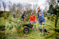 FEATURE - O Tannenbaum: Kommen Weihnachtsbäume in diesem Jahr früher ins Haus?