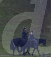 Prince Andrew at Windsor on a Foggy Decmeber Morning