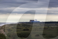 Sizewell C: government restarts talks over £20bn nuclear power station. Move comes alongside energy white paper, which aims to cut UK’s carbon emissions.
