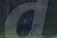 Prince Andrew At Windsor Castle