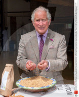ROYALS - BILDER DES JAHRES: Auswahl von Rex/Shutterstock