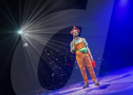 Performing arts archive