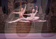 Performing arts archive