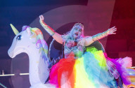 Dick Whittington Christmas pantomime