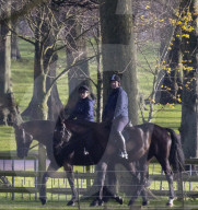ROYALS - Prinz Andrew verlässt Schloss Windsor nach einem morgendlichen Ausritt