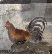 Archaeologists discover ancient 'Street Food Shop' - Pompeii