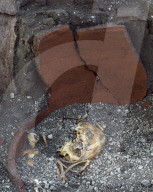 Archaeologists discover ancient 'Street Food Shop' - Pompeii