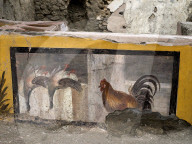 Archaeologists discover ancient 'Street Food Shop' - Pompeii