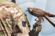 Best of Defence Imagery 2020
