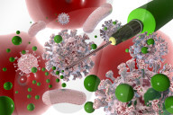 NEWS - Coronavirus: Visualisierung Impfung