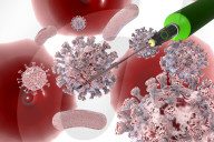 NEWS - Coronavirus: Visualisierung Impfung