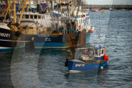 'Boris is a kipper': fury and frustration at Brexit fishing deal in Brixham. Many at the harbour in the Devon town are concerned that their industry has been sold short