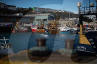 'Boris is a kipper': fury and frustration at Brexit fishing deal in Brixham. Many at the harbour in the Devon town are concerned that their industry has been sold short