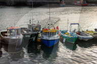 'Boris is a kipper': fury and frustration at Brexit fishing deal in Brixham. Many at the harbour in the Devon town are concerned that their industry has been sold short