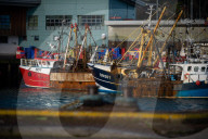 'Boris is a kipper': fury and frustration at Brexit fishing deal in Brixham. Many at the harbour in the Devon town are concerned that their industry has been sold short