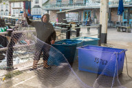 'Boris is a kipper': fury and frustration at Brexit fishing deal in Brixham. Many at the harbour in the Devon town are concerned that their industry has been sold short