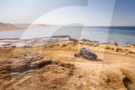 NEWS - Paris Dakar 2021 in Saudi-Arabien - Etappe 9