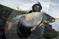 Pirate hunters of the Po: how locals sick of poachers decided to fight back.