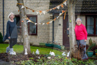 Wiltshire town dresses up for lockdown