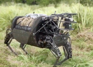 FEATURE - Militärroboter der Zukunft könnten von echtem Muskelgewebe angetrieben werden