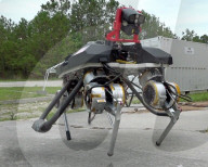 FEATURE - Militärroboter der Zukunft könnten von echtem Muskelgewebe angetrieben werden