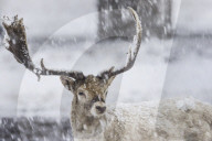 Snow hits the south