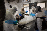 Purification of the COVID dead in Israel