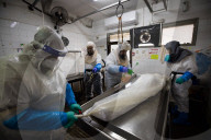 Purification of the COVID dead in Israel