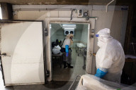 Purification of the COVID dead in Israel
