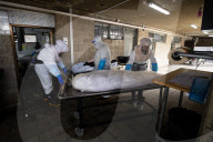Purification of the COVID dead in Israel